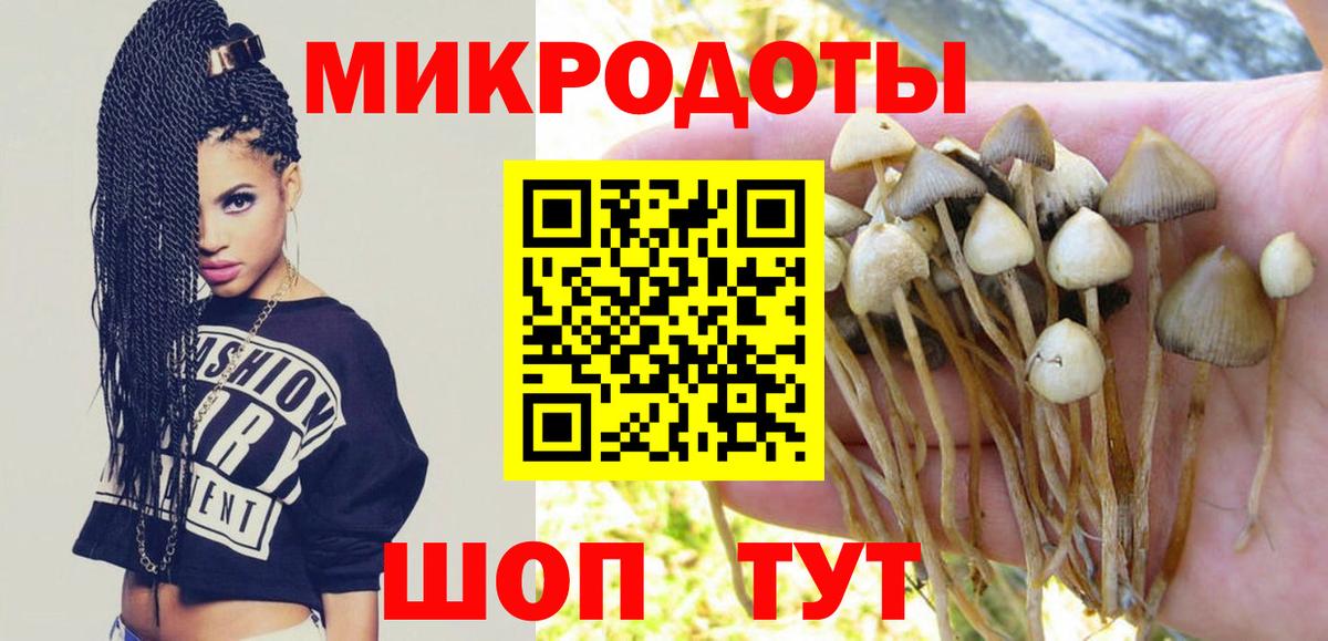 где можно купить наркотик  Галлюциногенные грибы прущие грибы  Саянск  Вход с VPN  Псилоцибиновые грибы мухоморы 